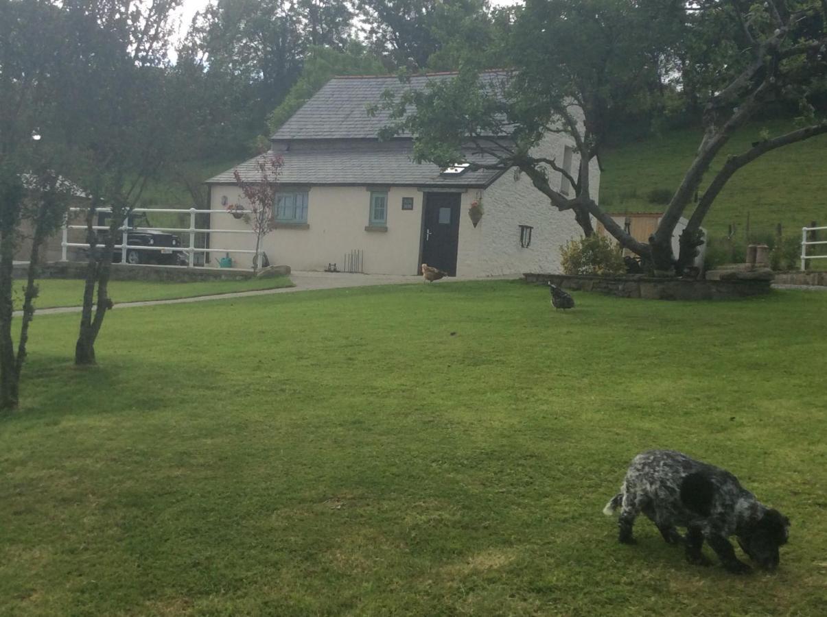 The Little Cow Shed Villa Swansea Dış mekan fotoğraf